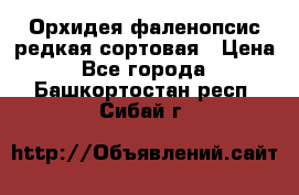 Орхидея фаленопсис редкая сортовая › Цена ­ 800 - Все города  »    . Башкортостан респ.,Сибай г.